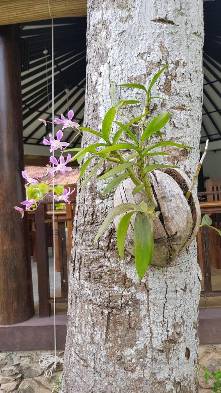 Nature Paradise Villa Balapitiya Extérieur photo